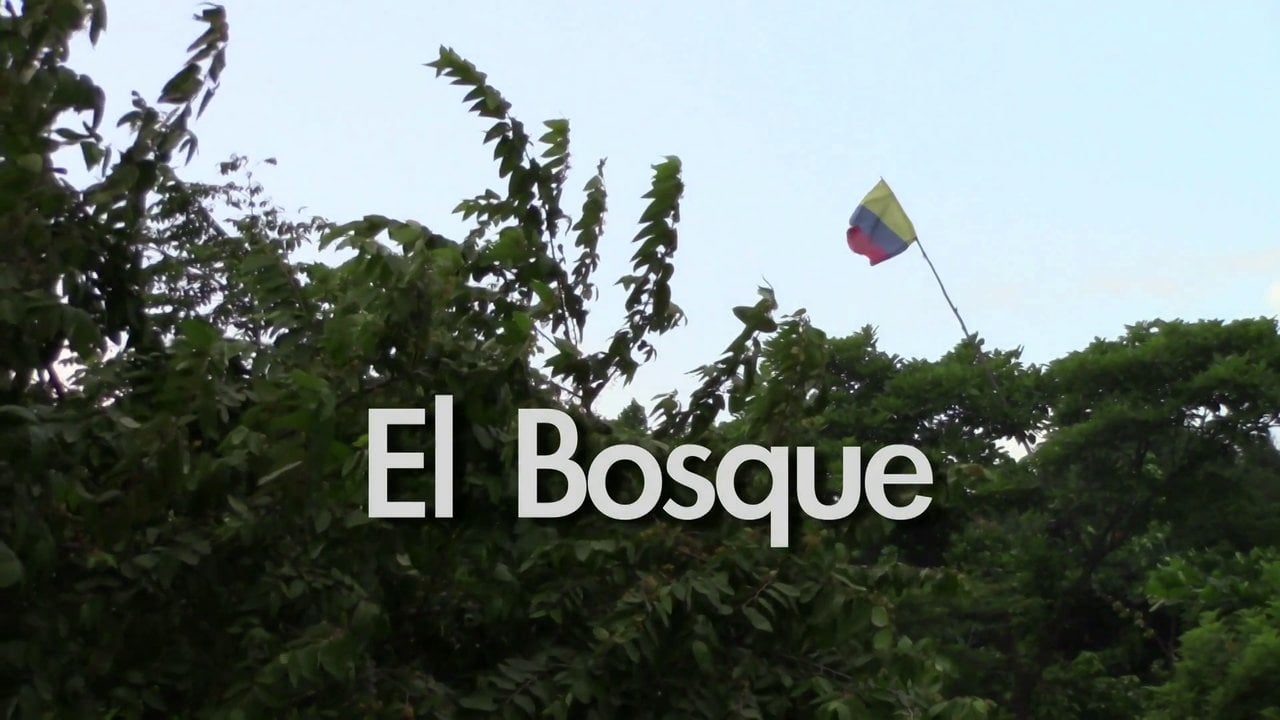 ::: VA JUGANDO // EL BOSQUE :::